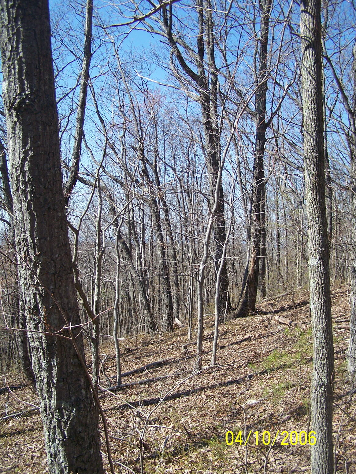 0 Shivas Crest, Unit 54 Rising Fawn, GA 30738 - Photo 13 of 14 100_0523