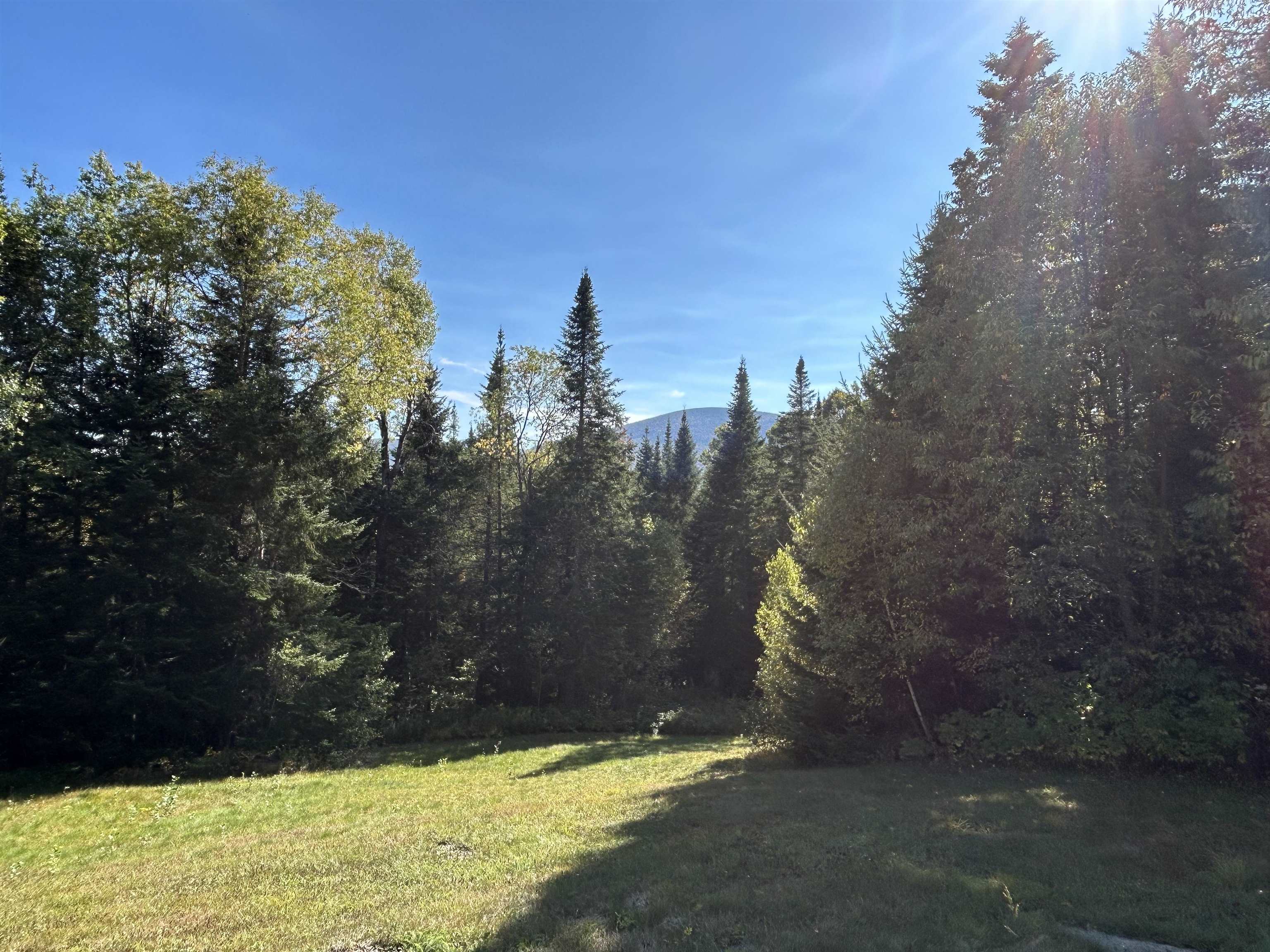 295 Gray Road Columbia, NH 03576 - Photo 7 of 25