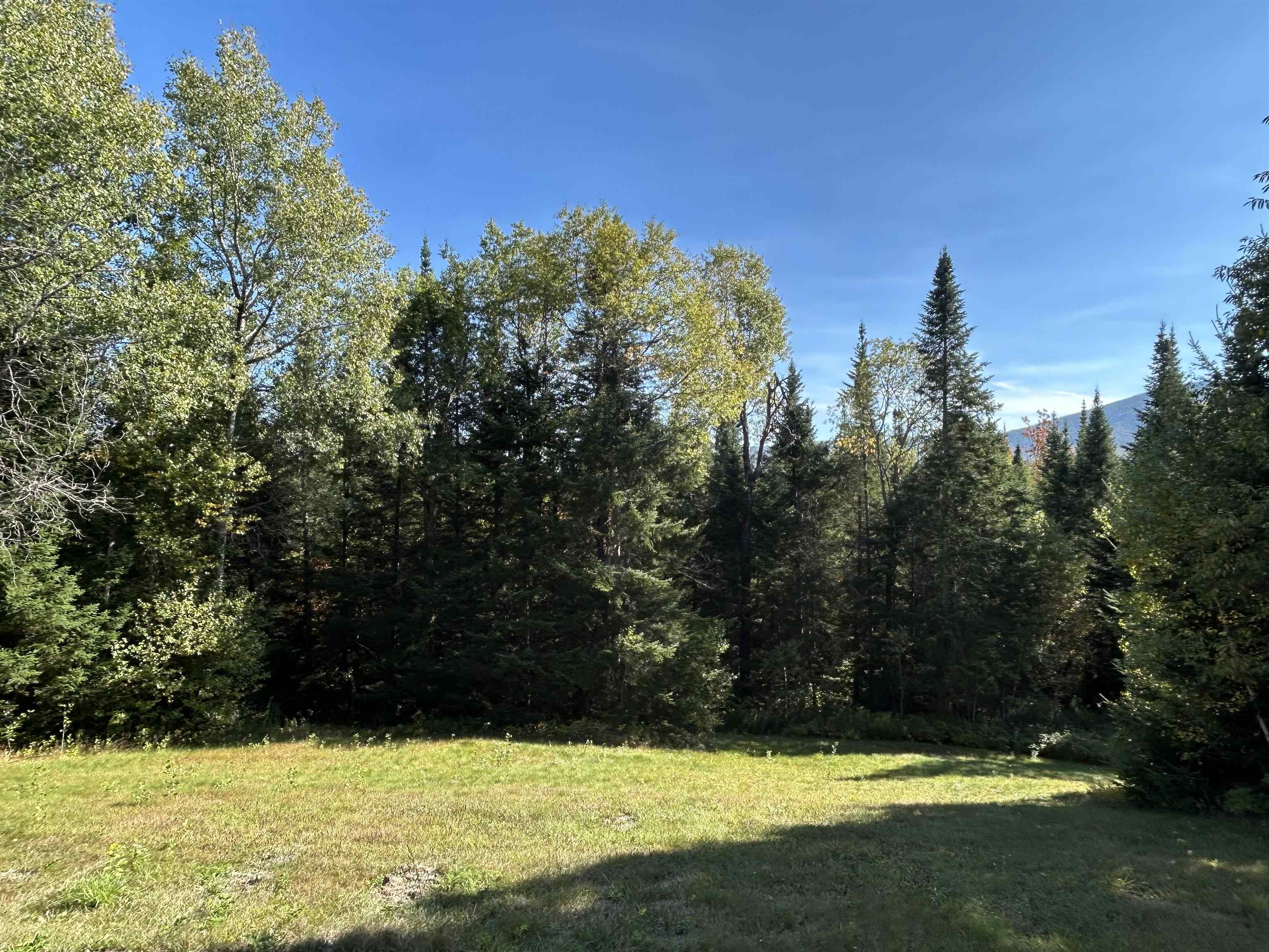 295 Gray Road Columbia, NH 03576 - Photo 8 of 25