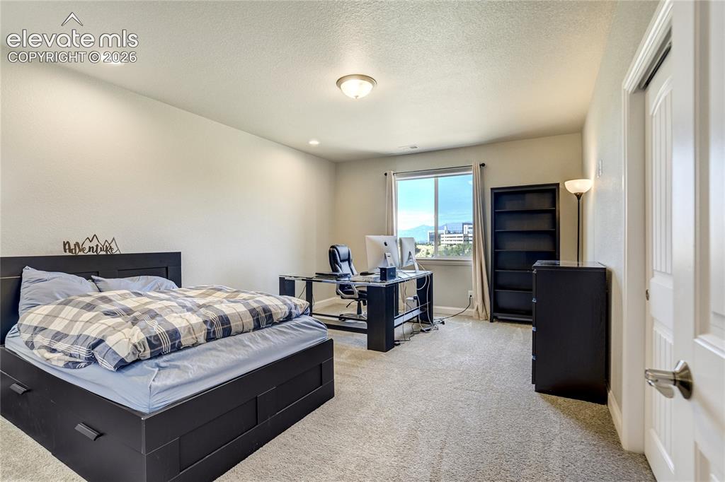 1011 Charismatic Way Colorado Springs, CO 80921 - Photo 34 of 50