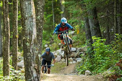 6206 Needleleaf Road Aurora, MN 55705 - Photo 28 of 33