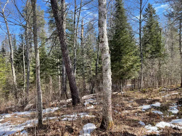 $42,500 | 6206 Needleleaf Road, Aurora, MN 55705