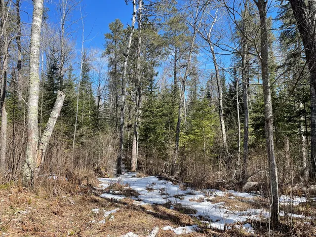 $42,500 | 6206 Needleleaf Road, Aurora, MN 55705