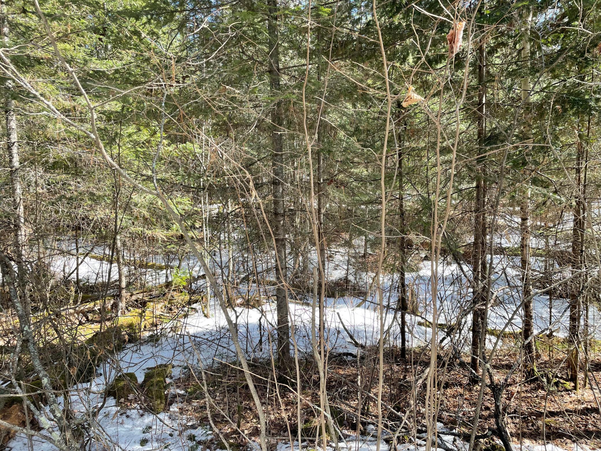 6206 Needleleaf Road Aurora, MN 55705 - Photo 5 of 33