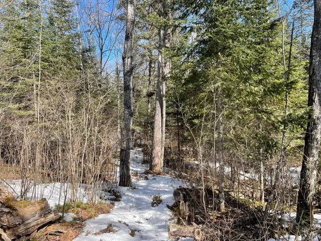 $42,500 | 6206 Needleleaf Road, Aurora, MN 55705