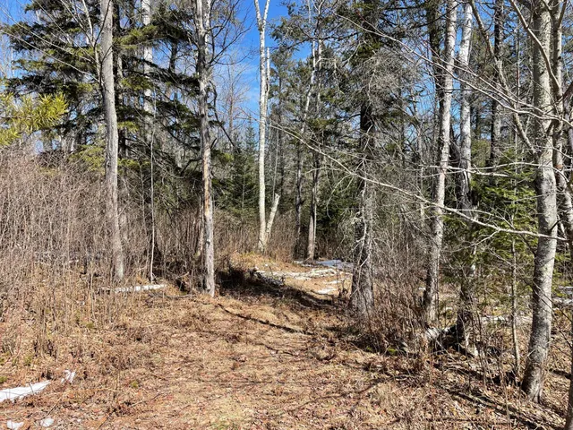 $42,500 | 6206 Needleleaf Road, Aurora, MN 55705