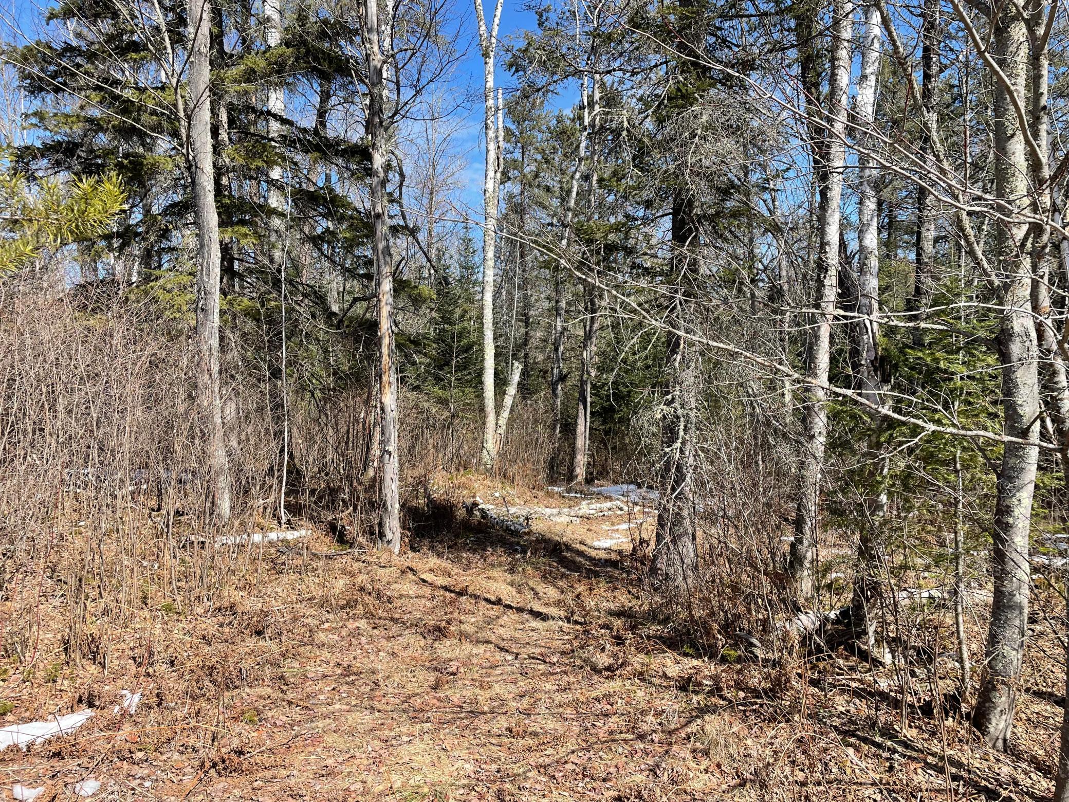 6206 Needleleaf Road Aurora, MN 55705 - Photo 7 of 33