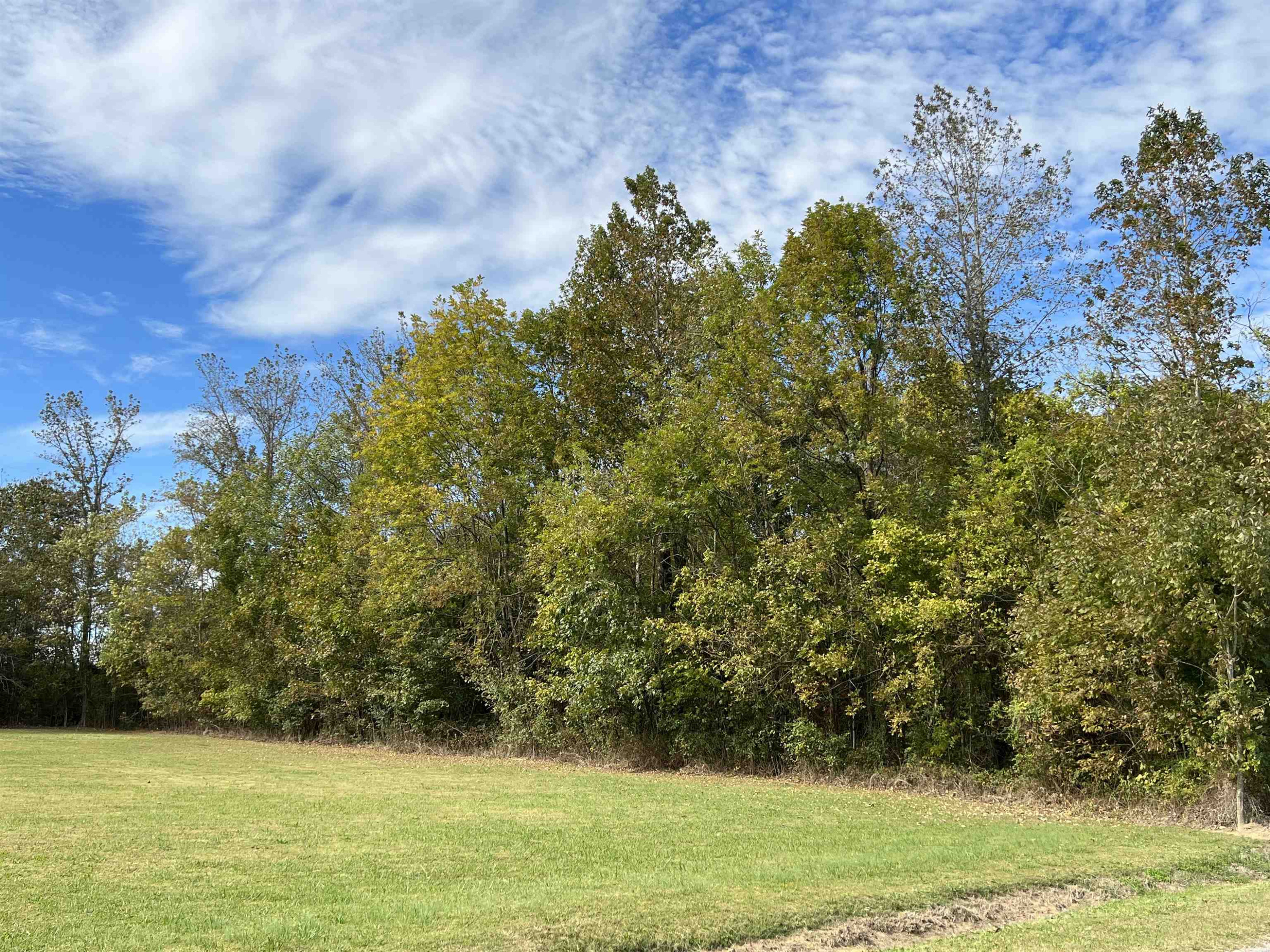 1206 Mifflin Road Jackson, TN 38301 - Photo 1 of 7 Photo 1