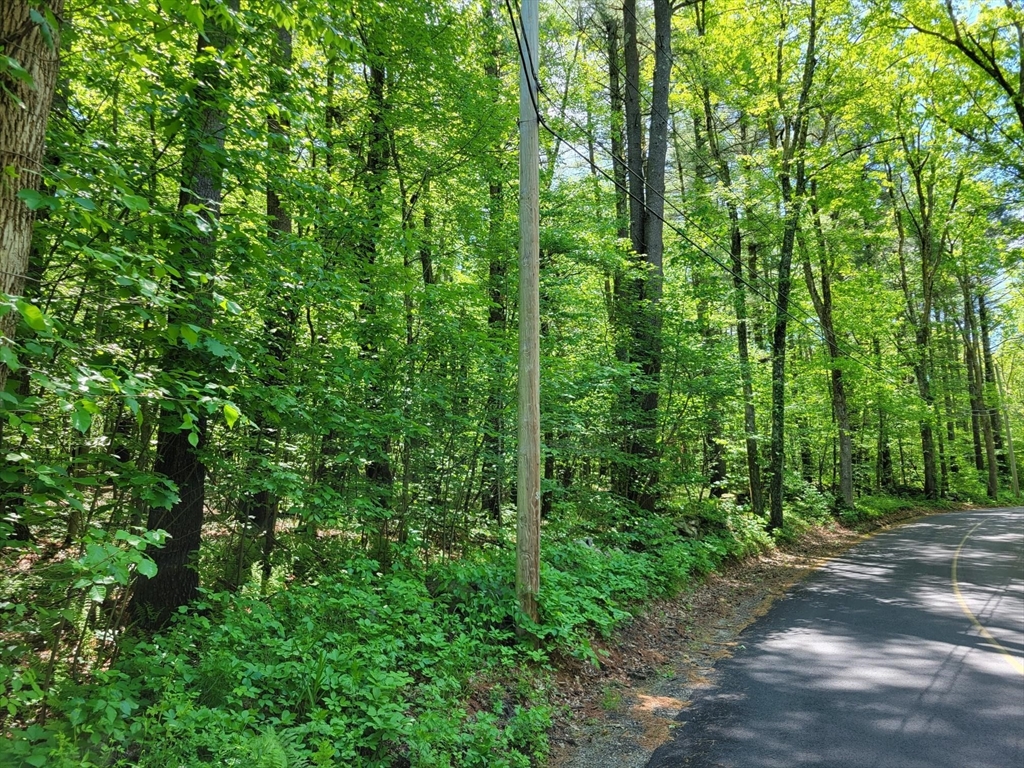 Lot 5 Daniels Road Dudley, MA 01571 - Photo 4 of 8