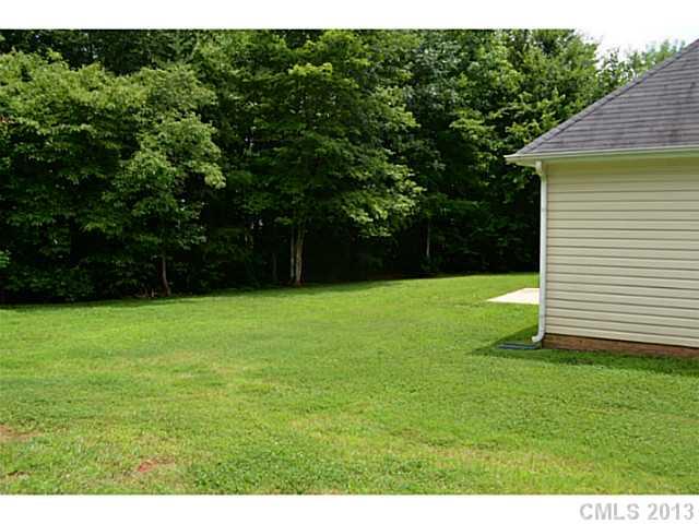 463 Fox Ridge Court Denver, NC 28037 - Photo 15 of 16