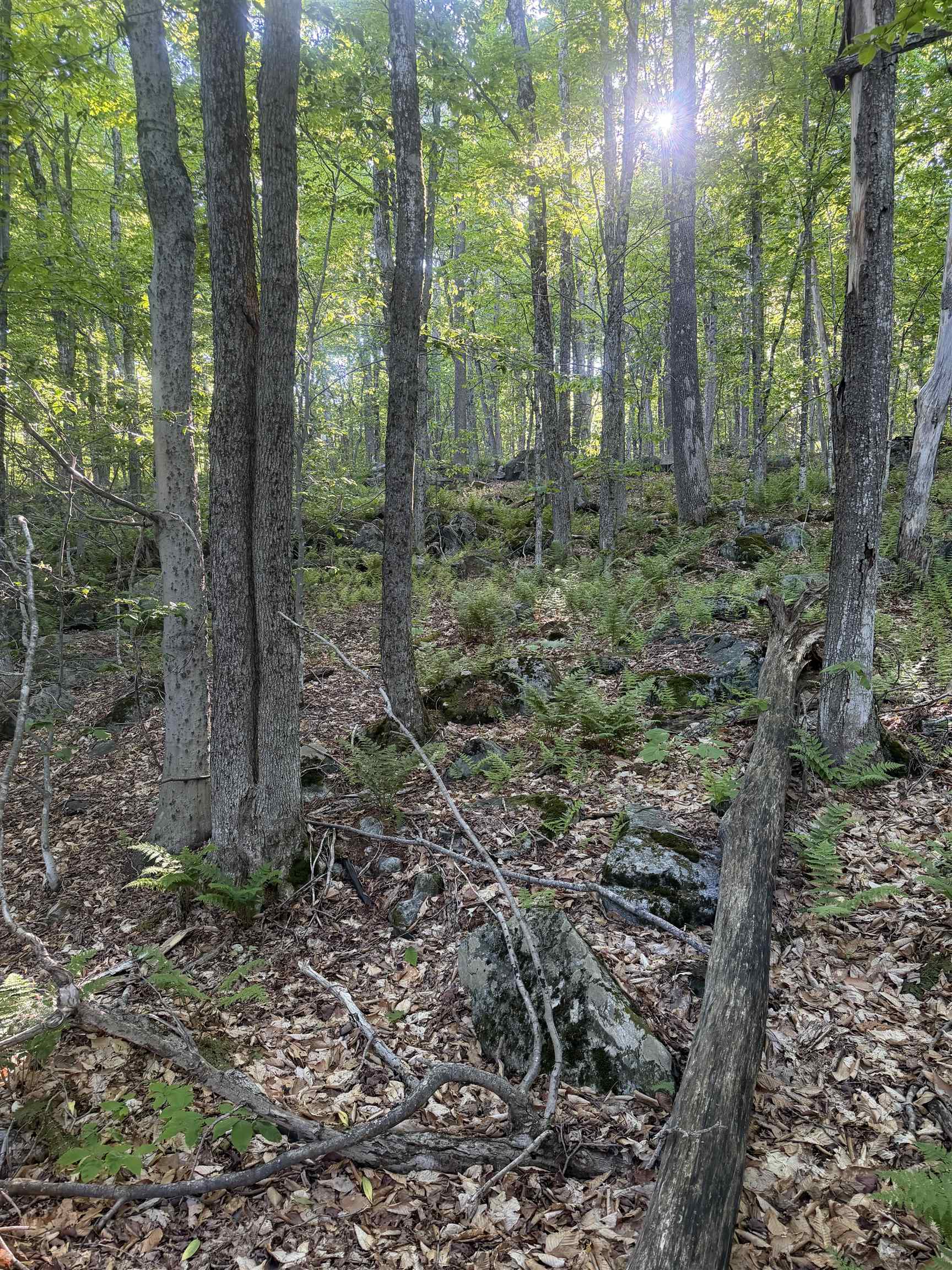 Scattered Timber Road Wilmington, VT 05363 - Photo 13 of 24