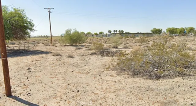 a view of a dry yard with trees
