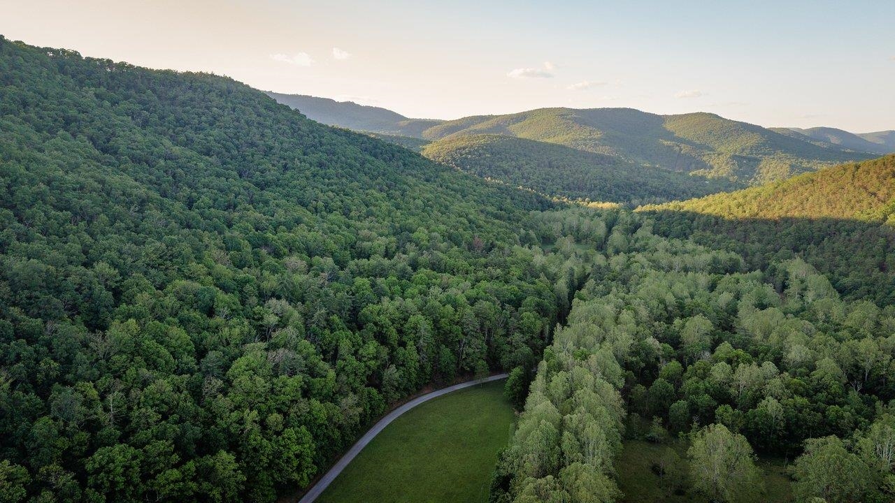 22606 German River Road Criders, VA 22820 - Photo 56 of 75