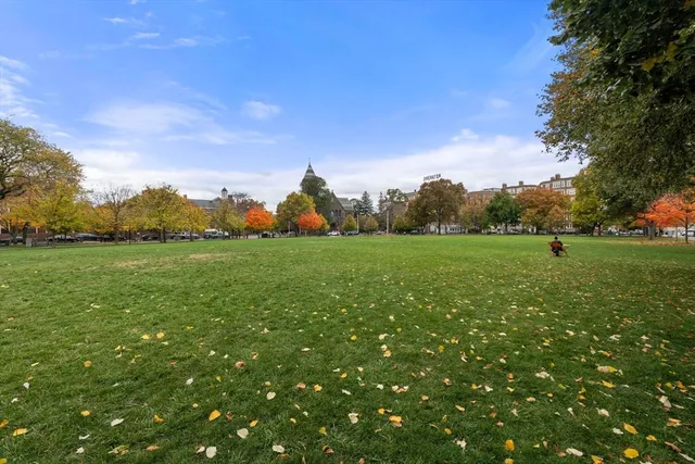 a view of a grassy field