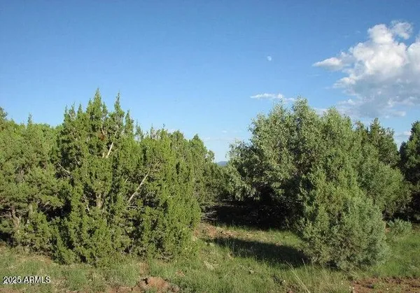 a view of a lake