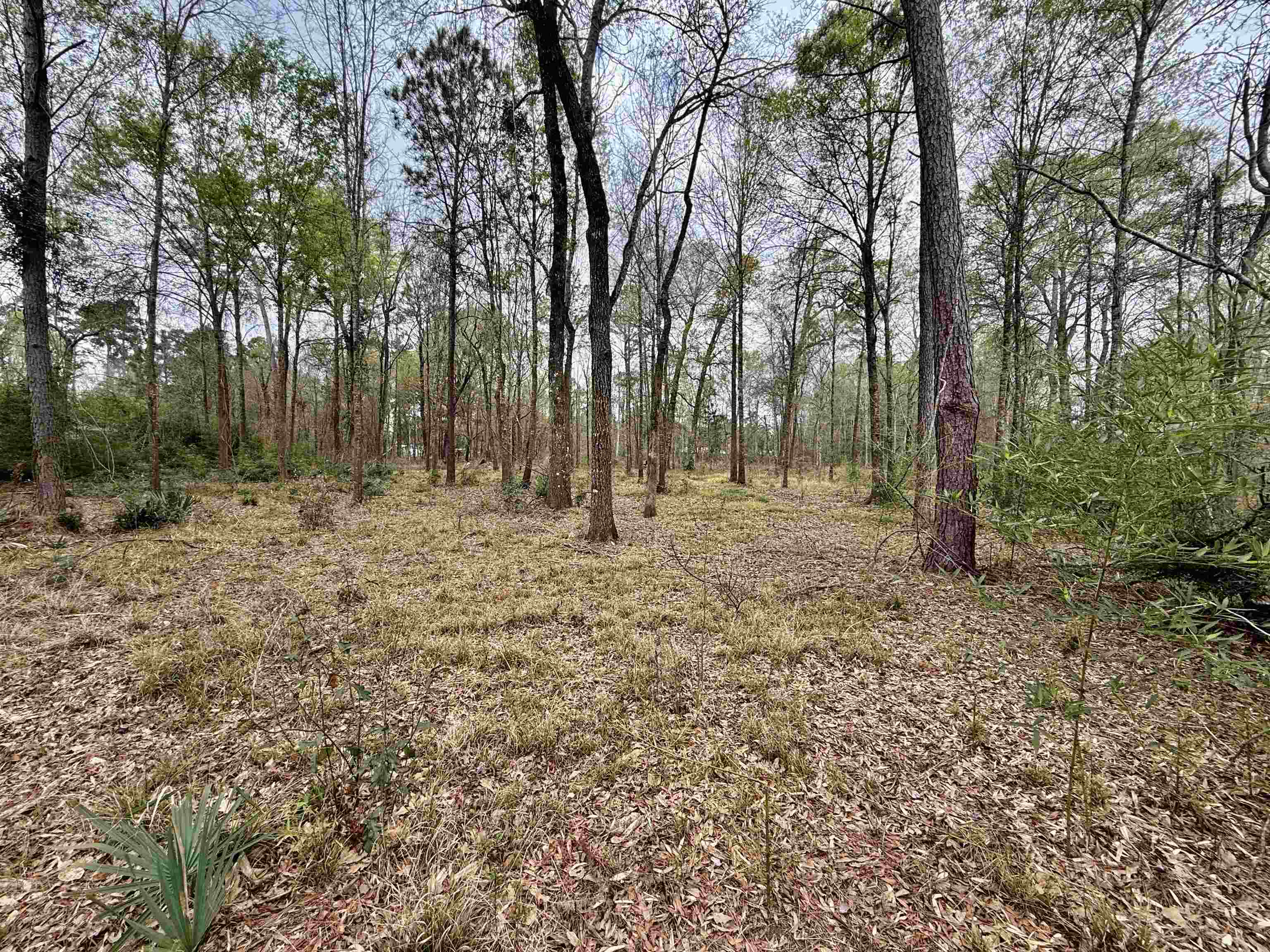 325 Jennings Road Vidor, TX 77662 - Photo 5 of 9