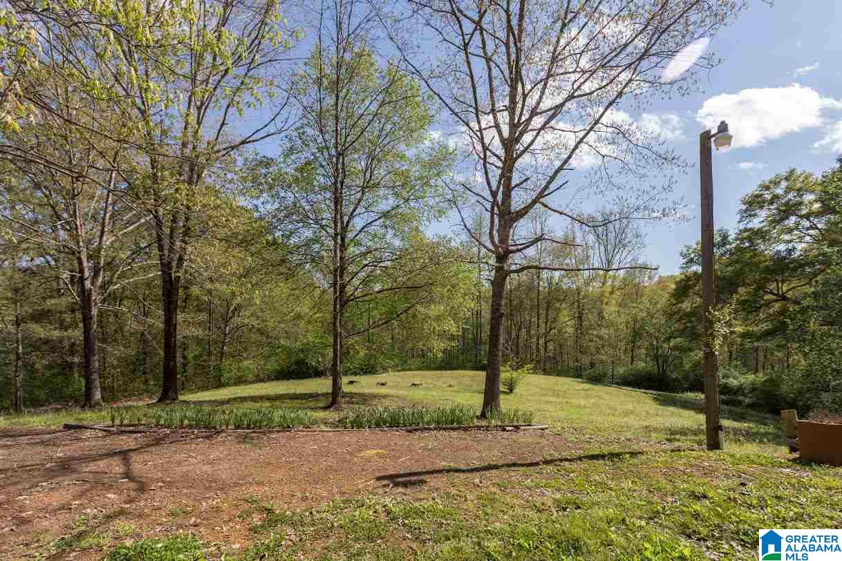 2172 Ross Lake Road Wellington, AL 36279 - Photo 35 of 45