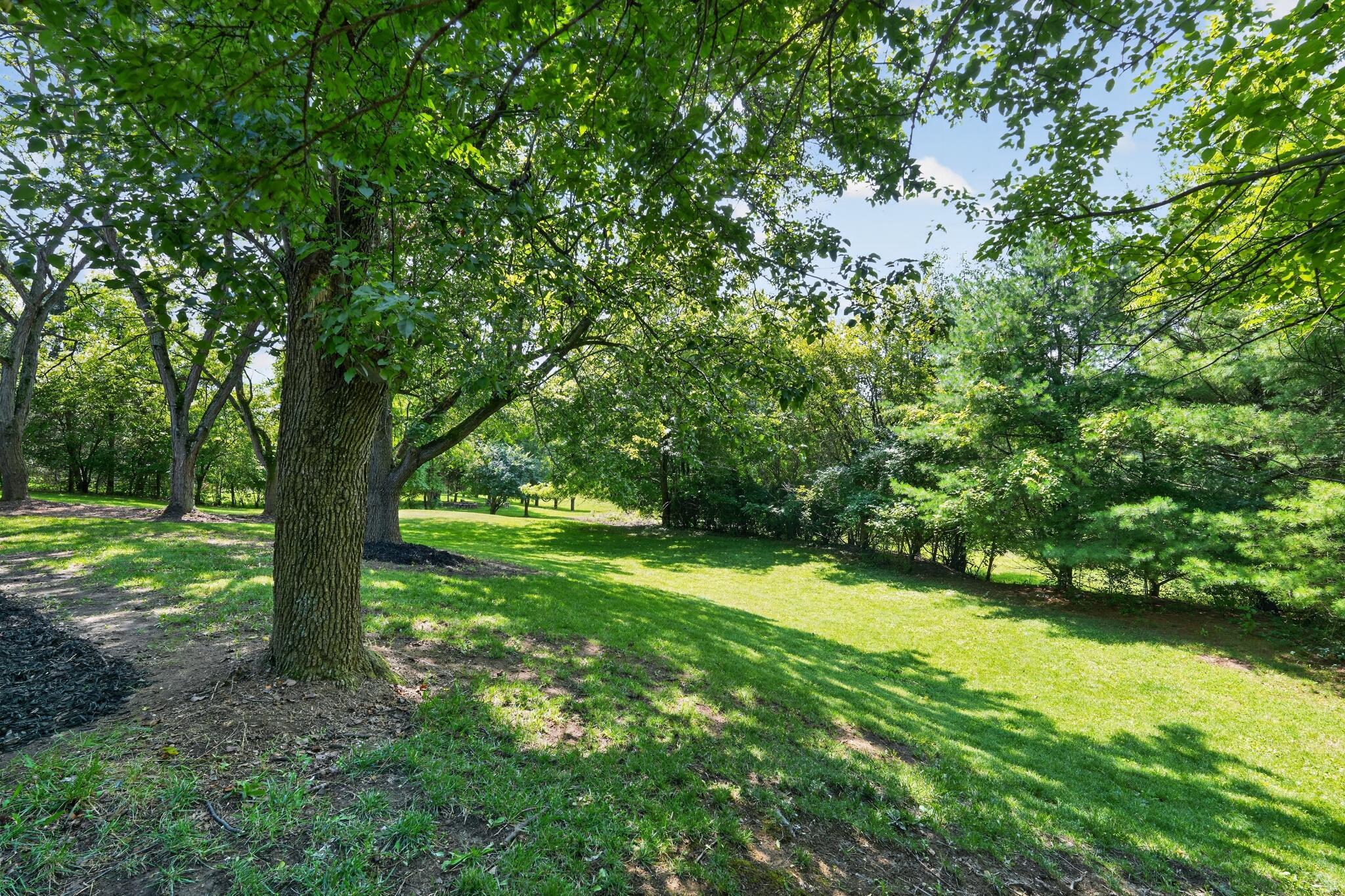 620 Pollock Road Delaware, OH 43015 - Photo 64 of 68 08_620_Pollock_Rd-Exterior-k-65