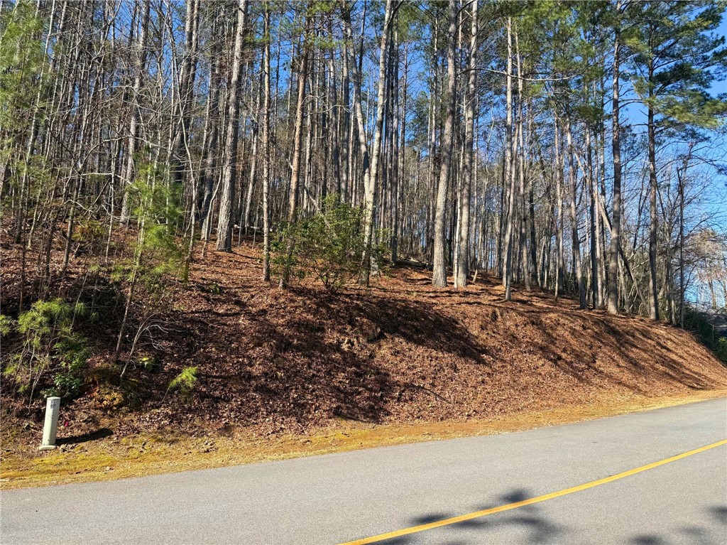 123 Stillwater Court Sunset, SC 29685 - Photo 1 of 12