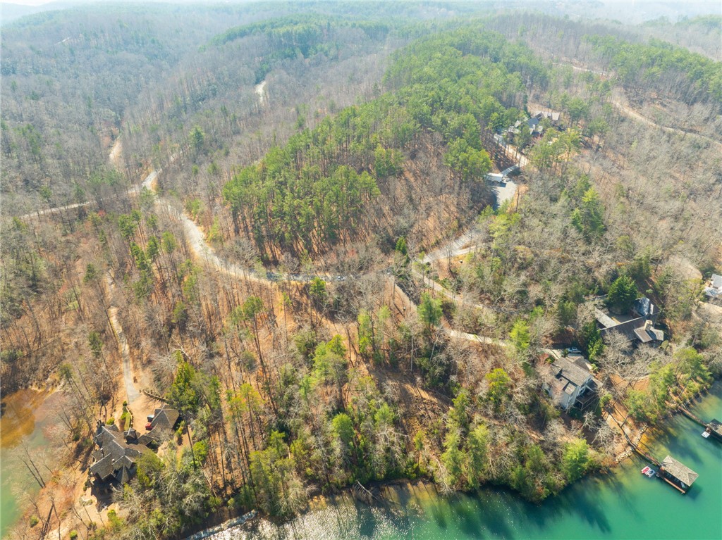 123 Stillwater Court Sunset, SC 29685 - Photo 11 of 12