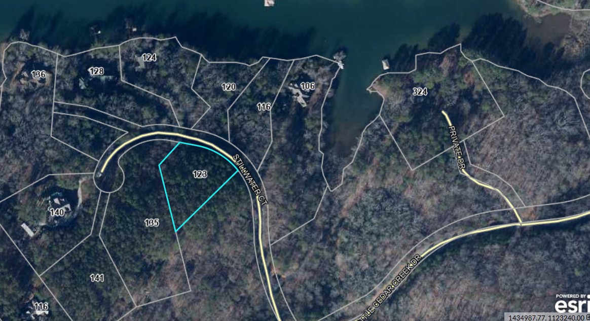 123 Stillwater Court Sunset, SC 29685 - Photo 12 of 12