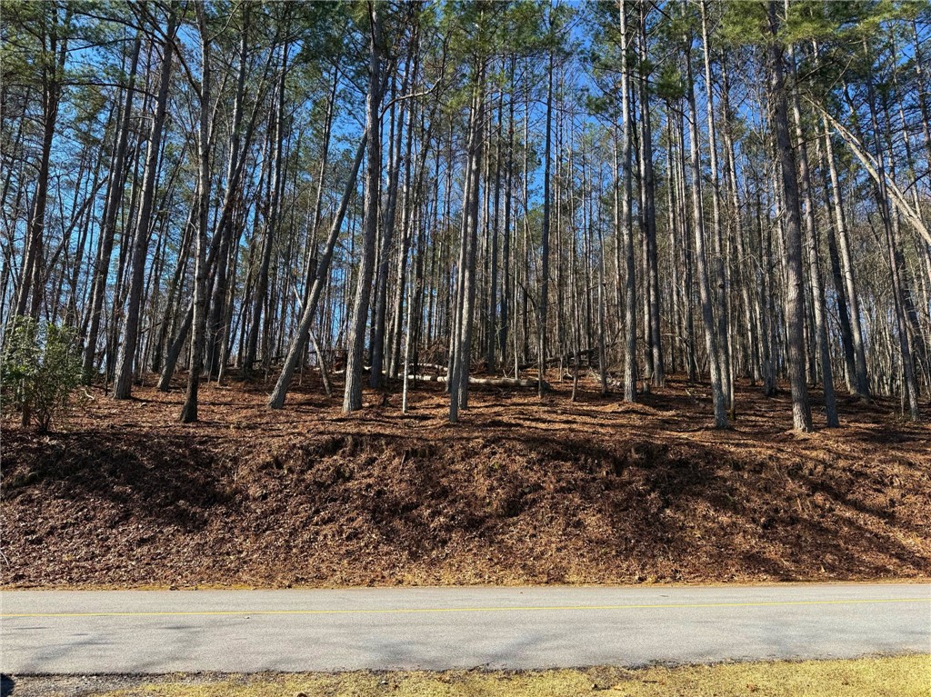 123 Stillwater Court Sunset, SC 29685 - Photo 2 of 12