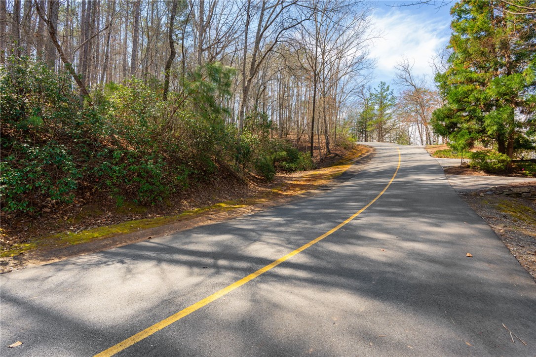 123 Stillwater Court Sunset, SC 29685 - Photo 3 of 12