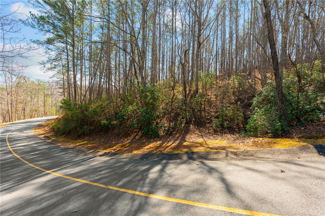 123 Stillwater Court Sunset, SC 29685 - Photo 4 of 12