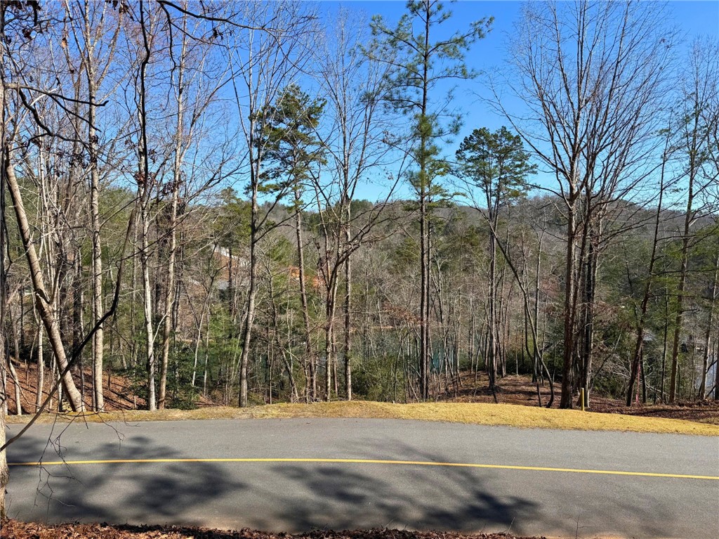 123 Stillwater Court Sunset, SC 29685 - Photo 5 of 12 Lake view from lot