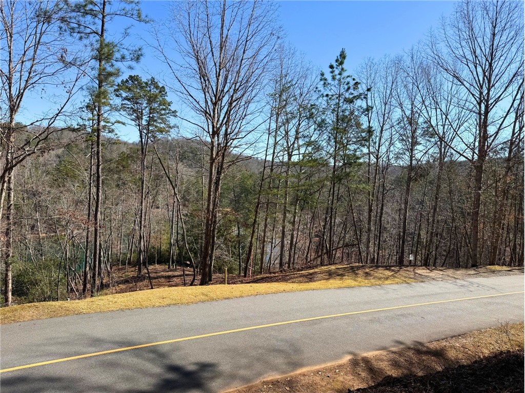 123 Stillwater Court Sunset, SC 29685 - Photo 6 of 12 Lake view from lot