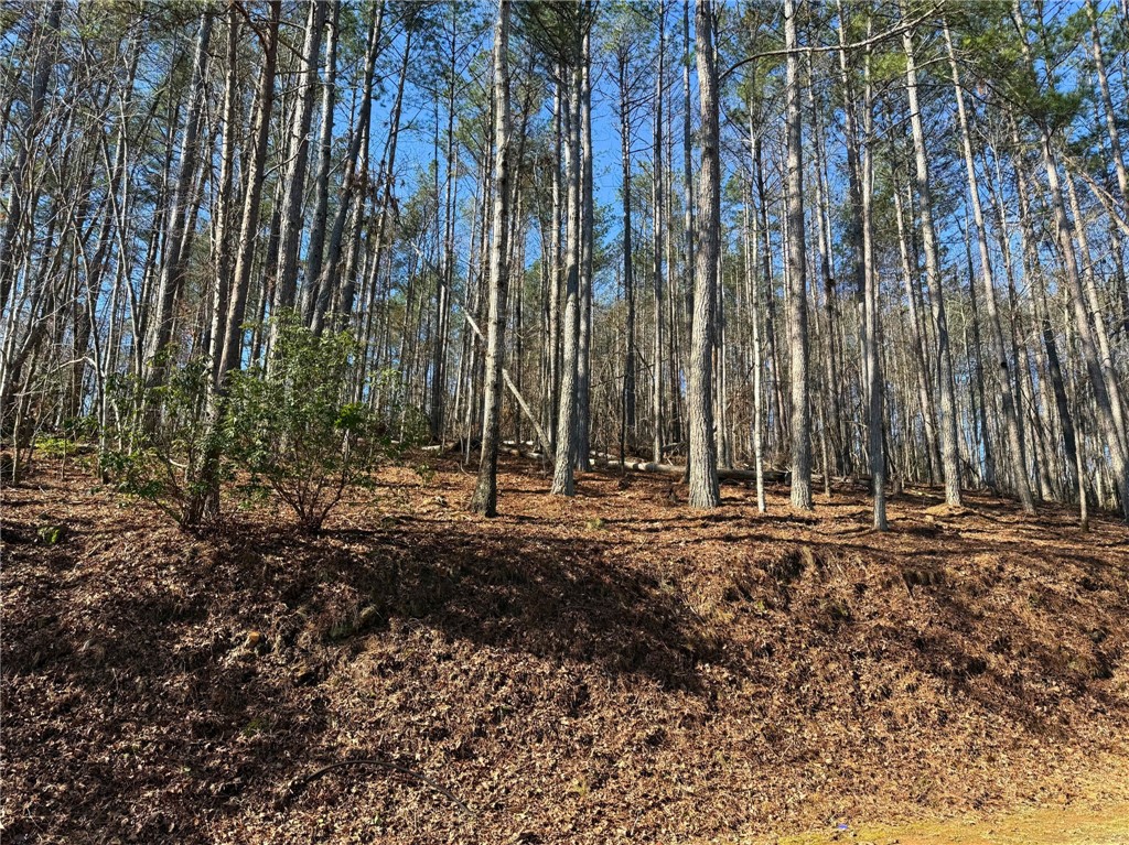 123 Stillwater Court Sunset, SC 29685 - Photo 7 of 12