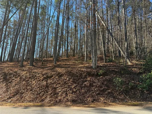 $79,500 | 123 Stillwater Court, Sunset, SC 29685