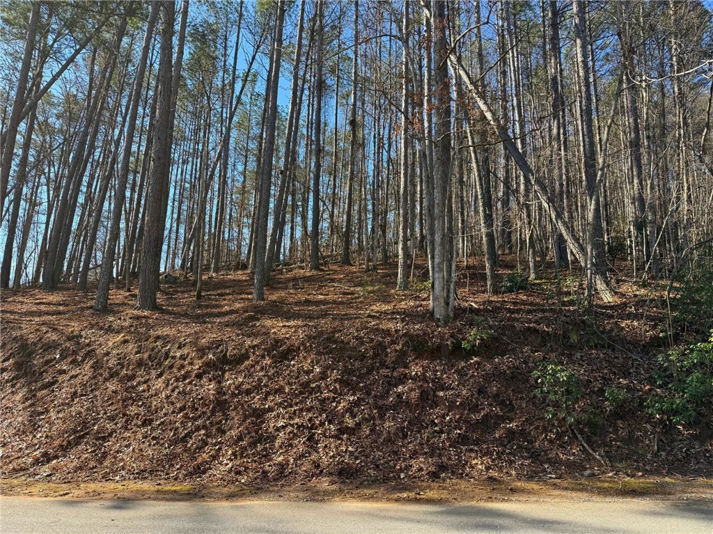 123 Stillwater Court Sunset, SC 29685 - Photo 8 of 12