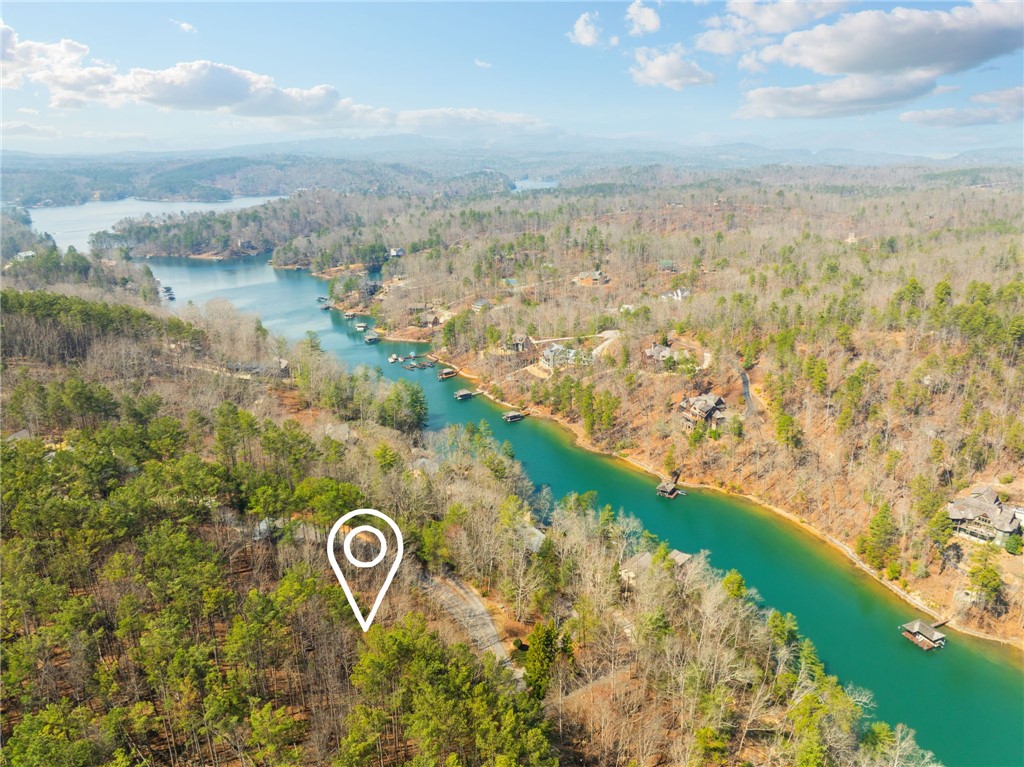 123 Stillwater Court Sunset, SC 29685 - Photo 10 of 12 Location indicator is only an estimate for visual purposes only