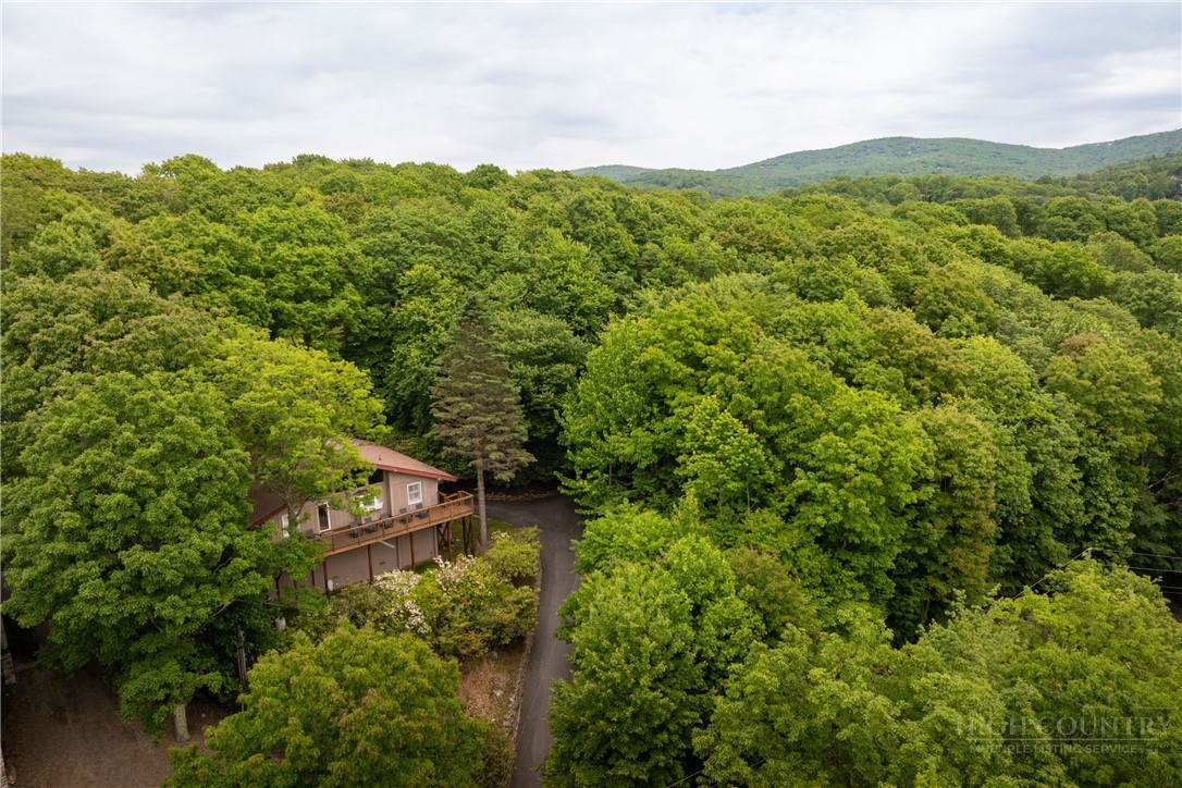 501 St Andrews Road Beech Mountain, NC 28604 - Photo 43 of 46