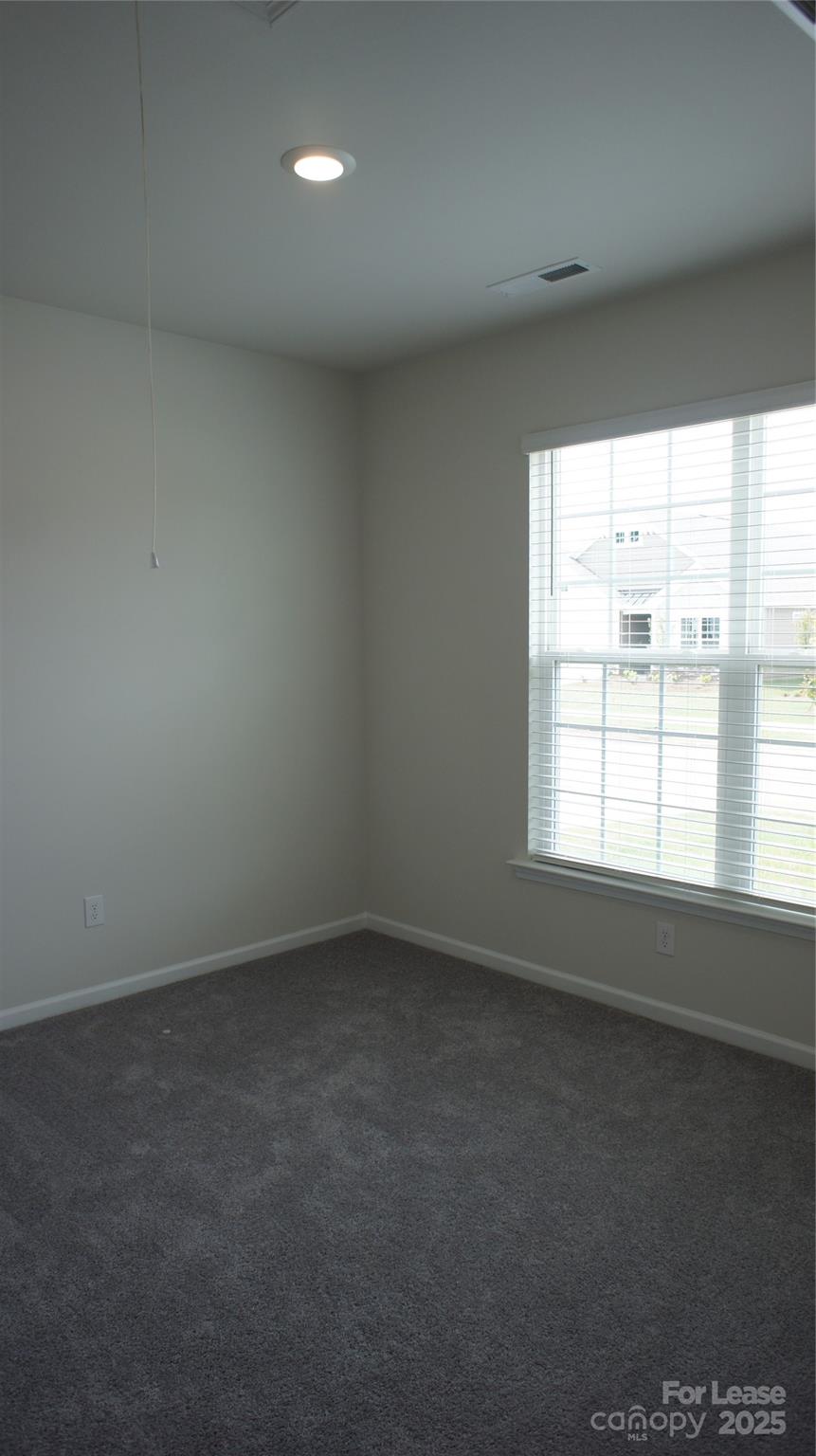 137 Pampas Place Statesville, NC 28625 - Photo 16 of 44