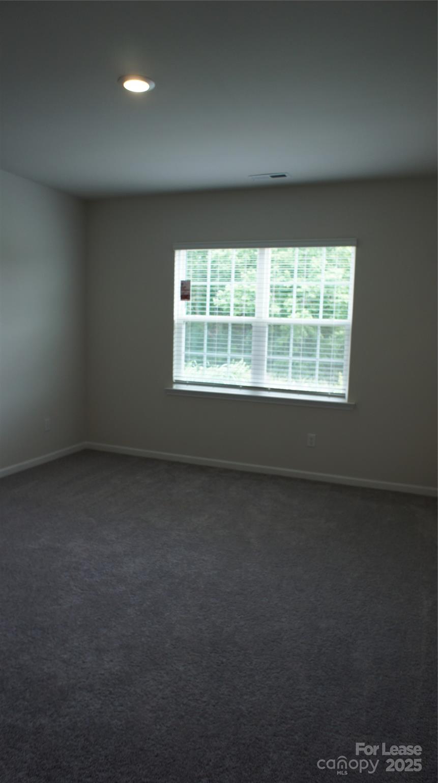 137 Pampas Place Statesville, NC 28625 - Photo 27 of 44