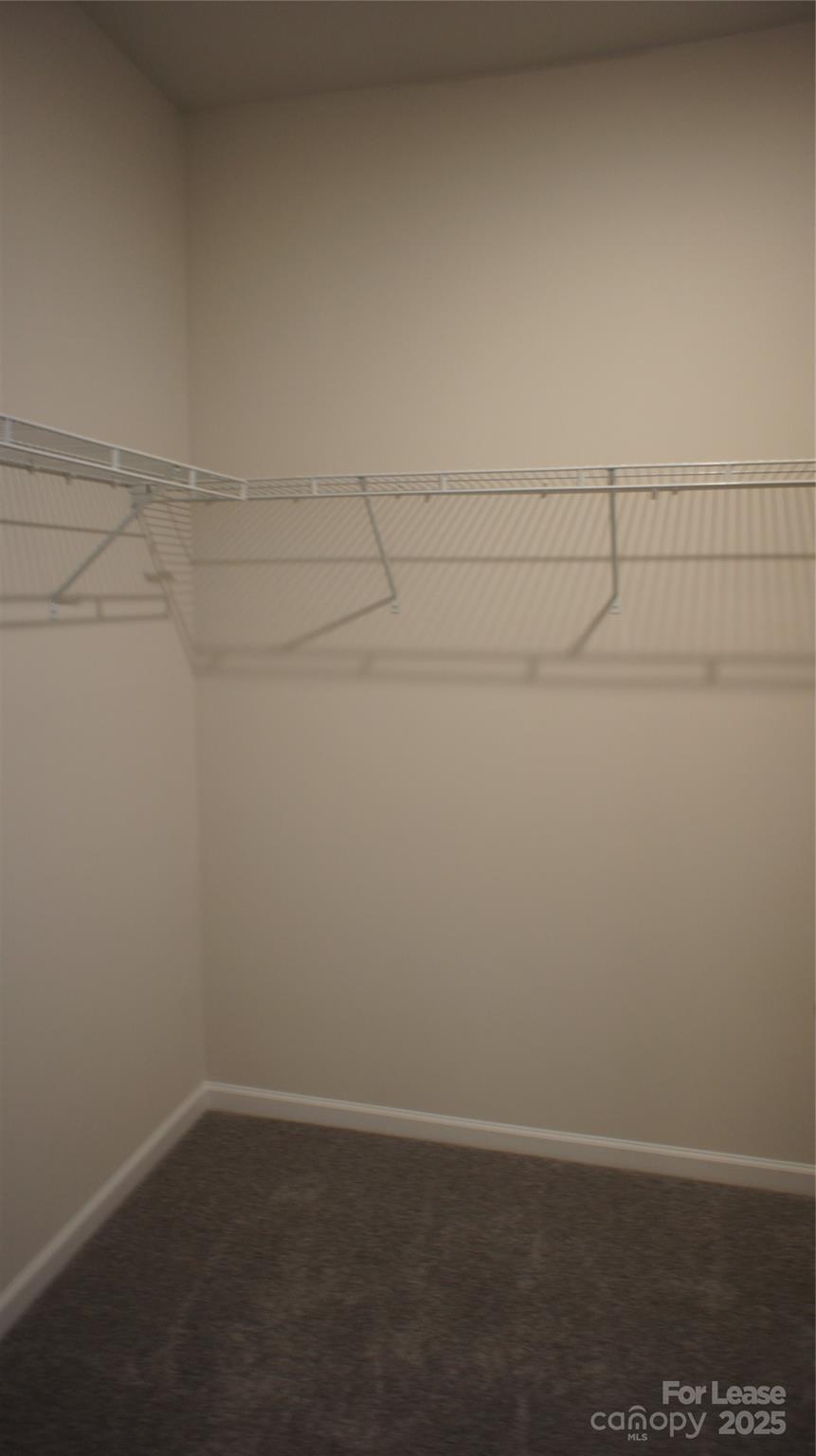 137 Pampas Place Statesville, NC 28625 - Photo 34 of 44