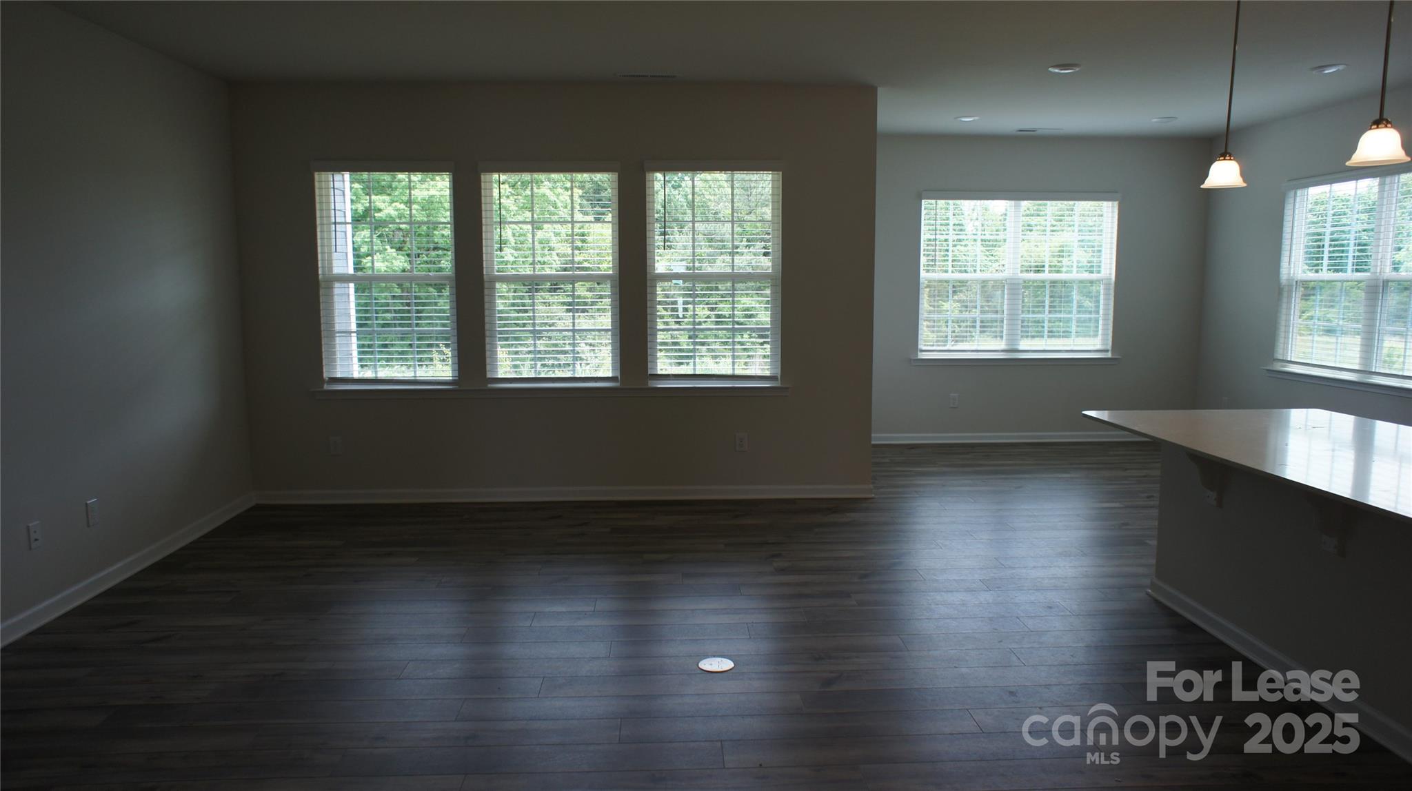 137 Pampas Place Statesville, NC 28625 - Photo 4 of 44