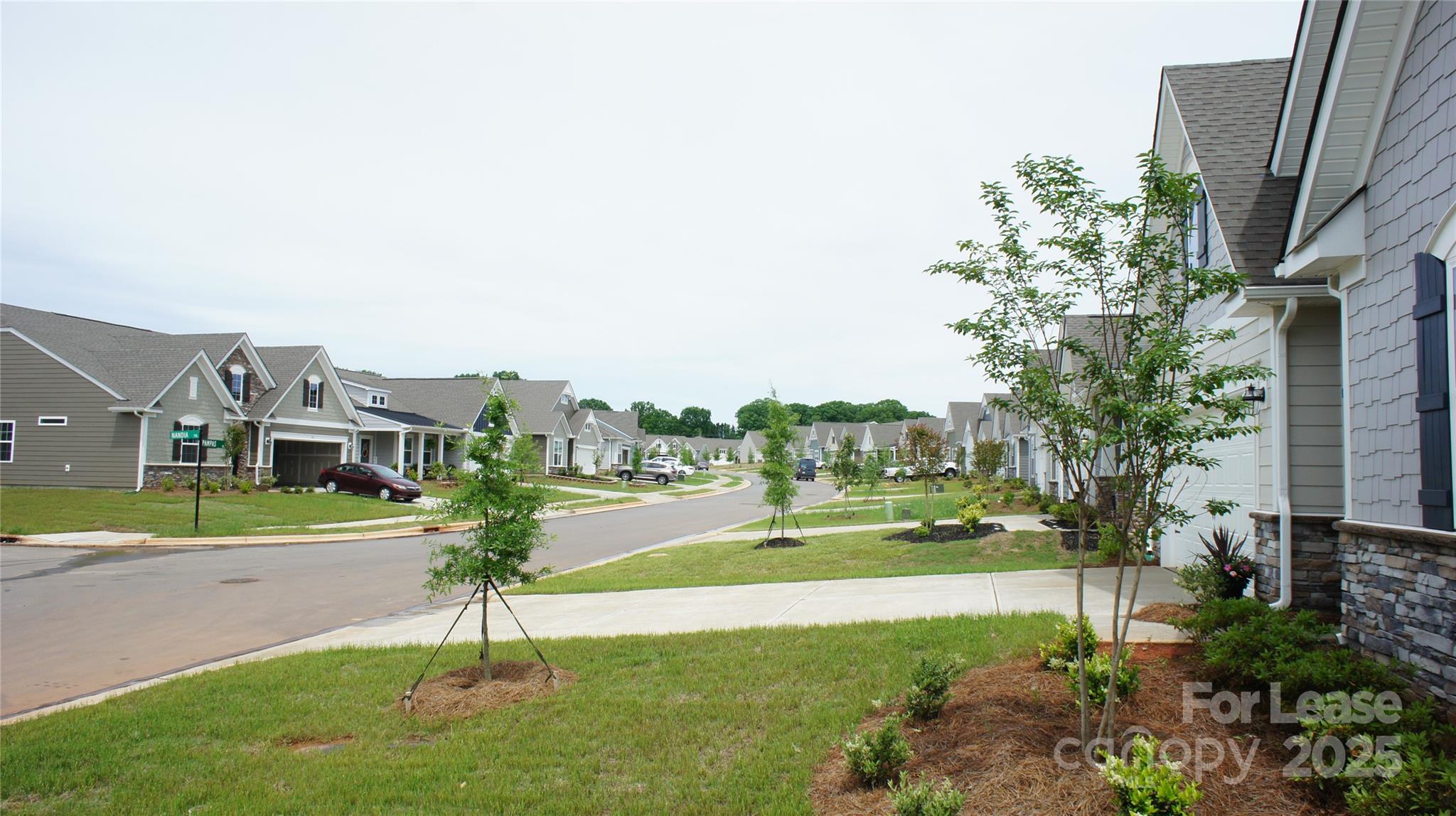 137 Pampas Place Statesville, NC 28625 - Photo 41 of 44