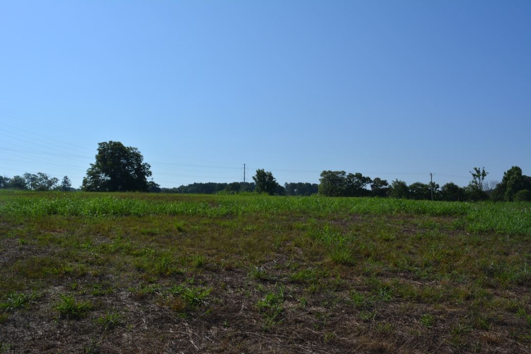Lot 3 Gramling School Road Inman, SC 29349 - Photo 18 of 24