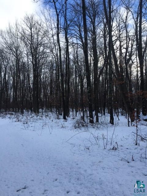 Xx Cary Road Cloquet, MN 55720 - Photo 3 of 3 Gallery Image 3