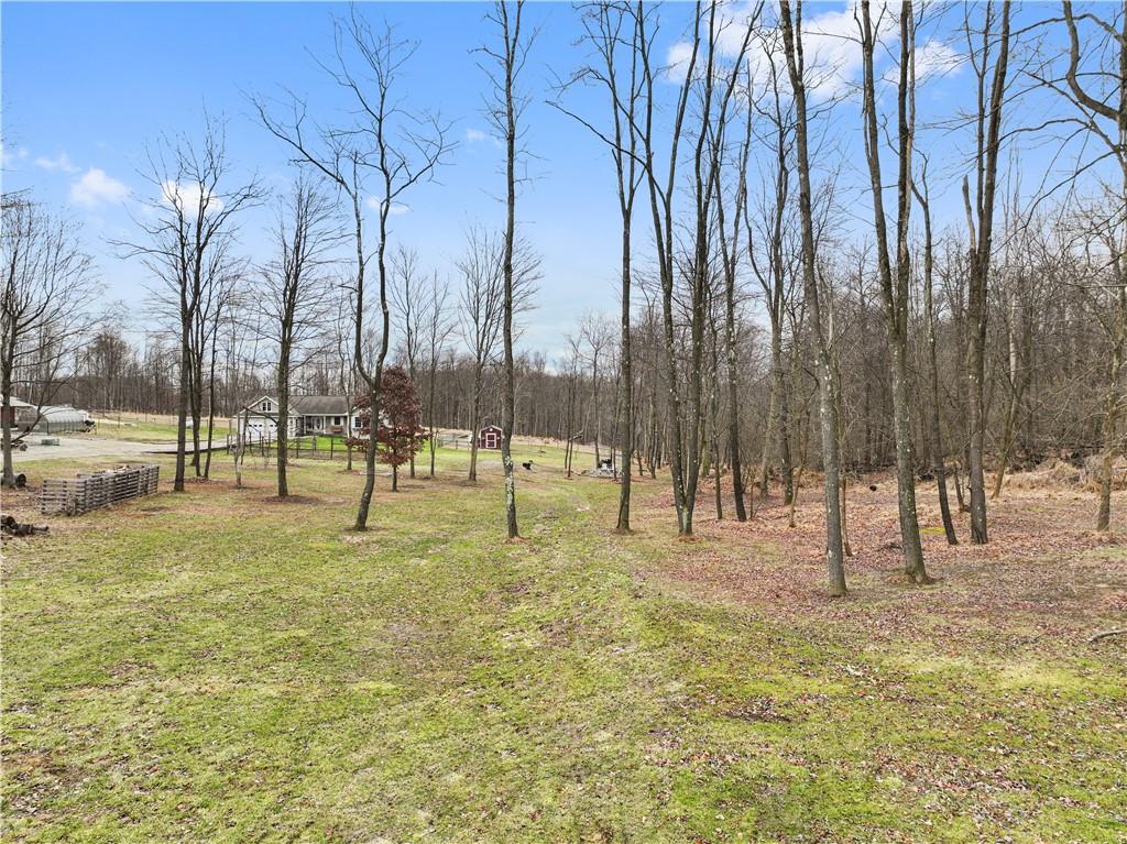 4455 Elders Ridge Road Saltsburg, PA 15681 - Photo 6 of 43 Gallery Image 6