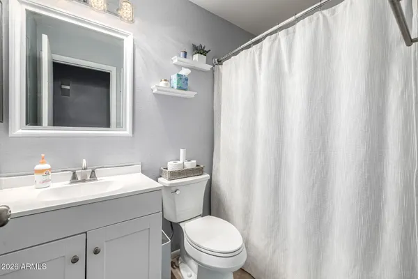 a bathroom with a sink a toilet and shower curtain
