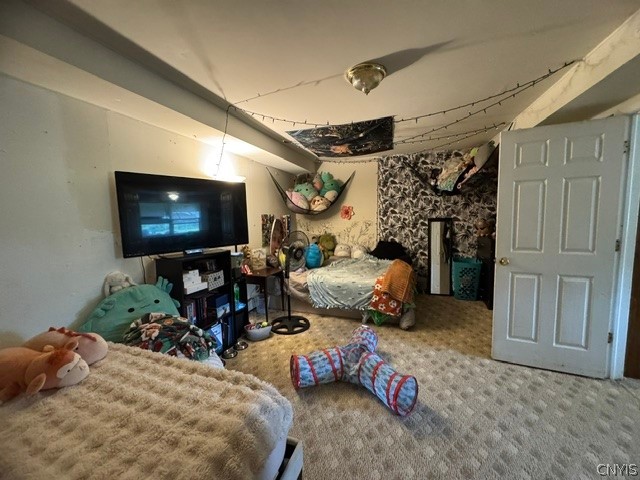 707 Ridge Road Lansing, NY 14882 - Photo 7 of 12 Gallery Image 7