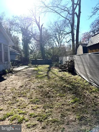 a view of a yard with a tree