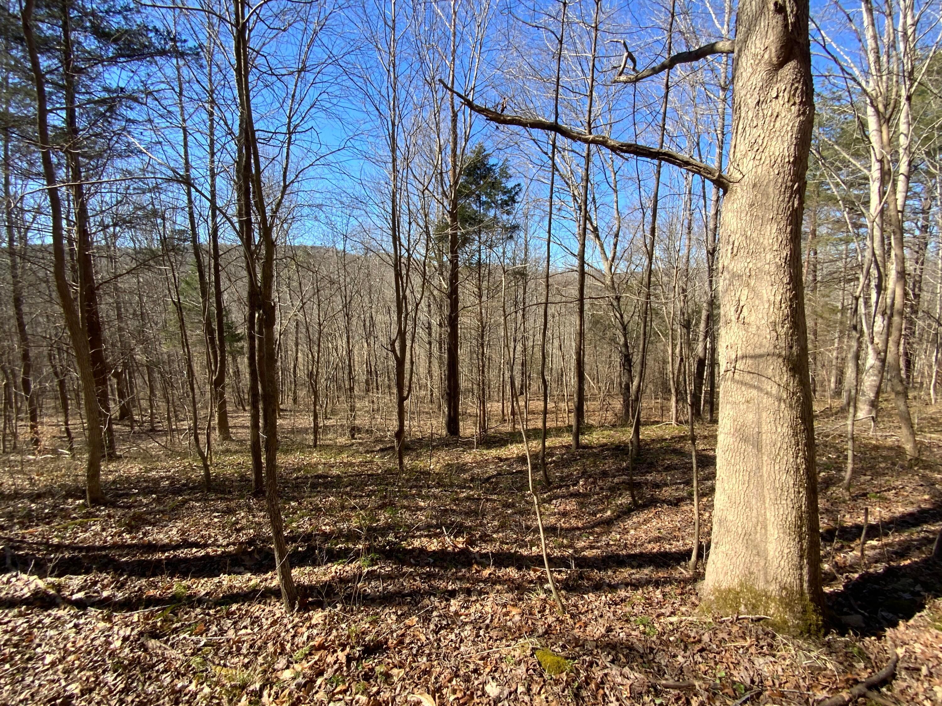 463 Euton Road McDermott, OH 45652 - Photo 28 of 37 IMG_0187