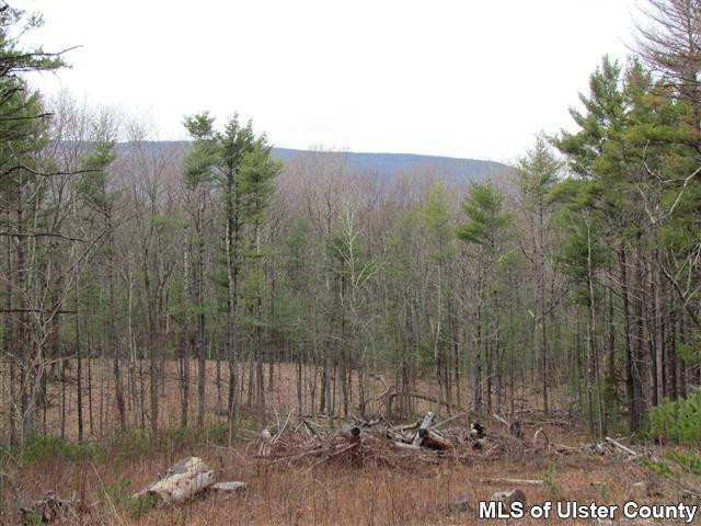Tbd Chuck Hill Road, Unit OFF HIGH FALLS ROAD Saugerties, NY 12477 - Photo 2 of 5 Photo 2