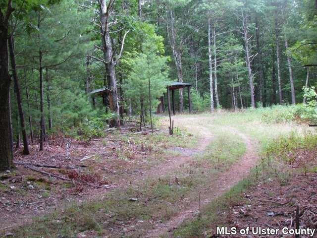 Tbd Chuck Hill Road, Unit OFF HIGH FALLS ROAD Saugerties, NY 12477 - Photo 3 of 5 Photo 3