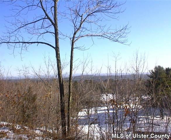 Tbd Chuck Hill Road, Unit OFF HIGH FALLS ROAD Saugerties, NY 12477 - Photo 5 of 5 Photo 5